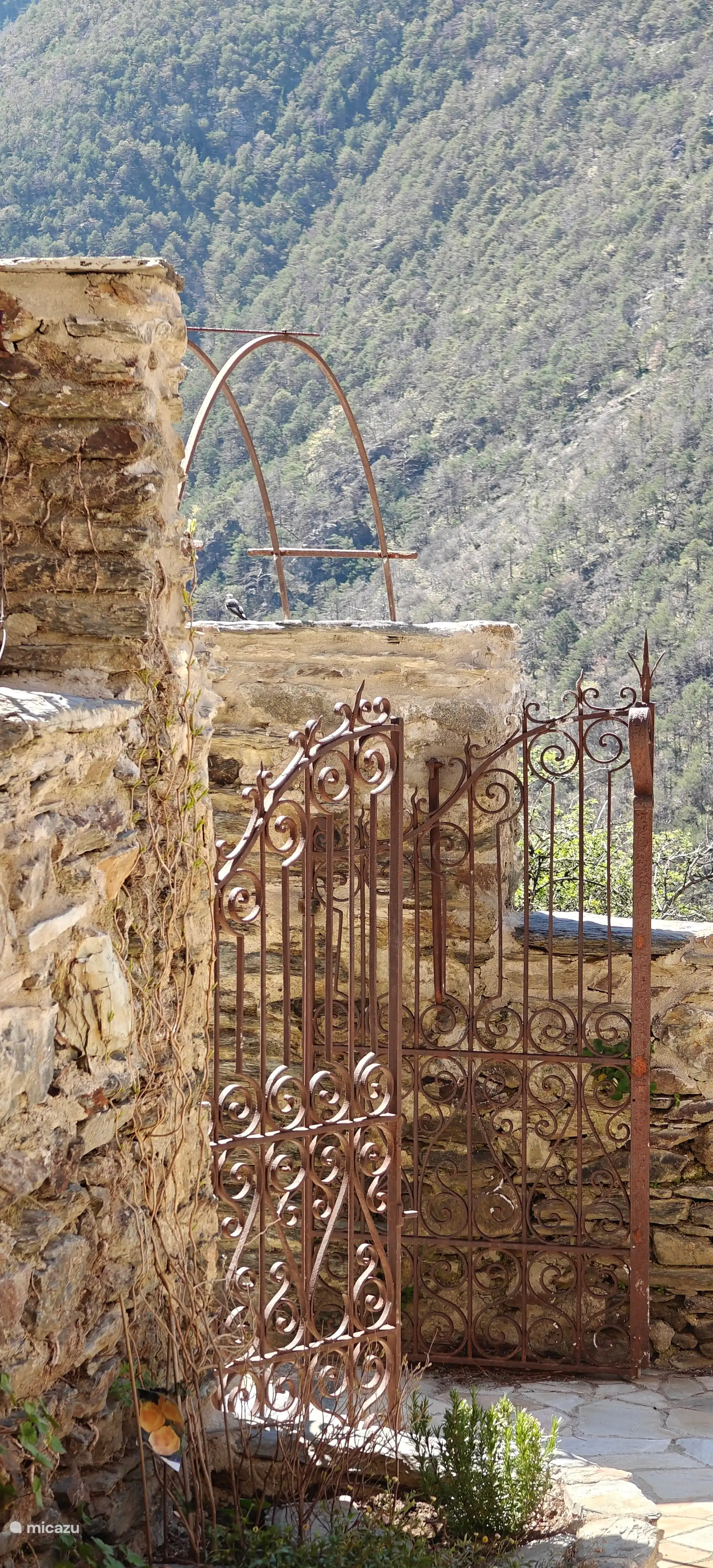 Entrance to the Mountain Village Studio