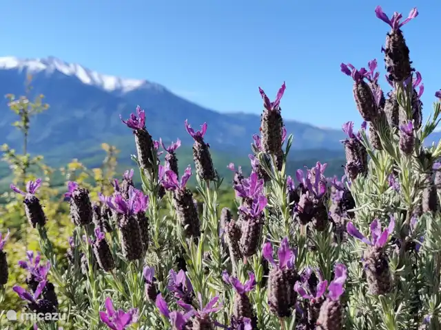 The Mountain Village Studio Nohèdes huren in Frankrijk, Pyrénées-Orientales, Nohèdes - studio De Canigou (2.794m)