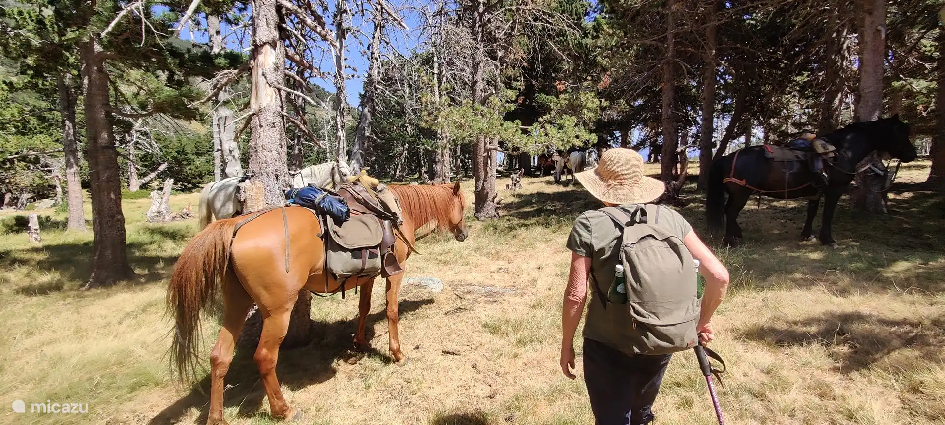Wandelen in het Reserve Naturelle de Nohèdes