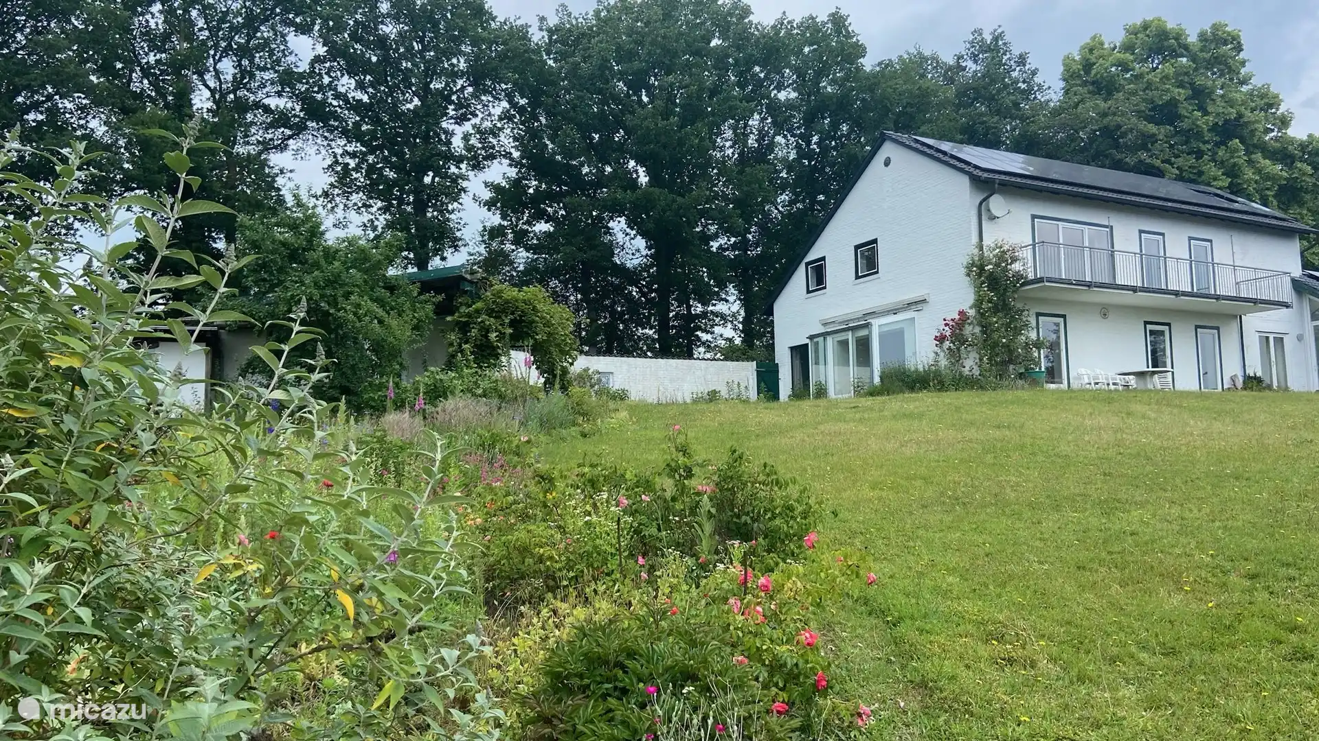 Lovely south-facing garden