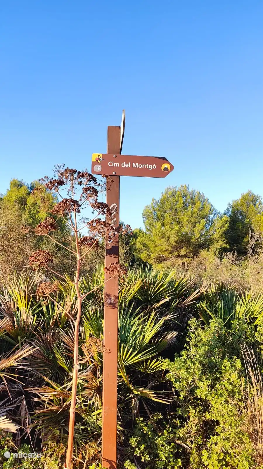 Hiking trails on the Montgó