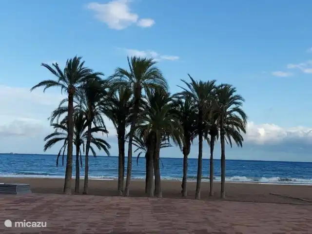 Casa Amarilla  | Espagne, Costa Blanca, Callosa d'en Sarrià - maison de vacances