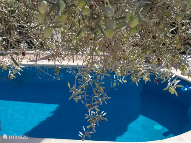 Villa las Flores Apartamento en España, Andalucía, Cómpeta - apartamento Impresión