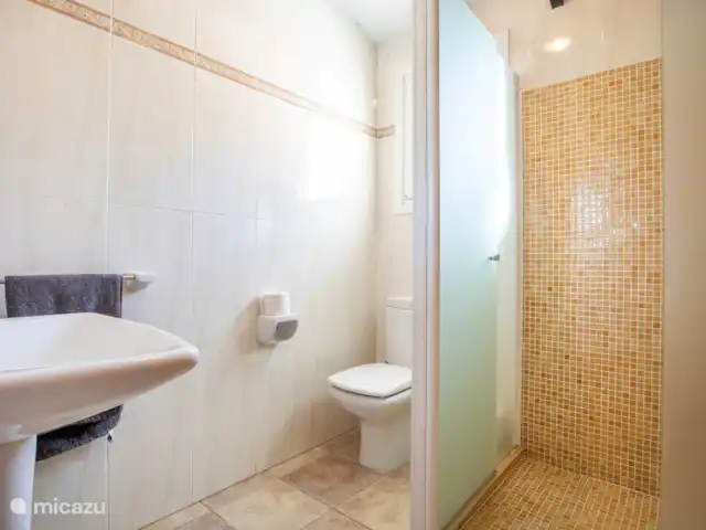 Villa las Flores Apartamento en España, Andalucía, Cómpeta - apartamento baño