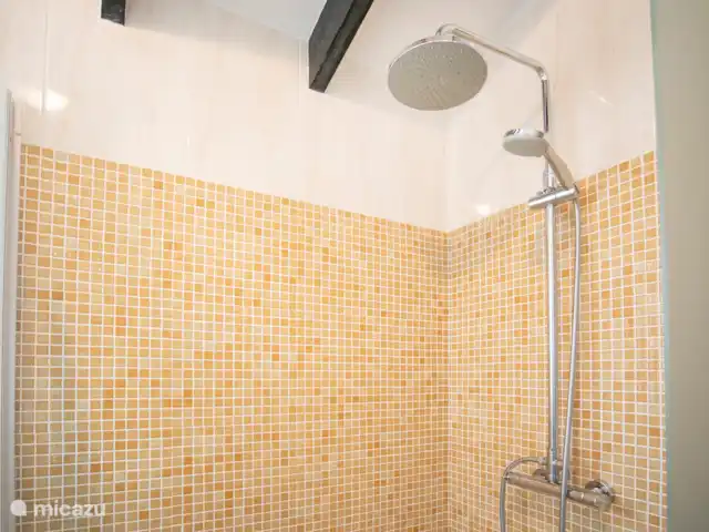 Villa las Flores Apartamento en España, Andalucía, Cómpeta - apartamento ducha