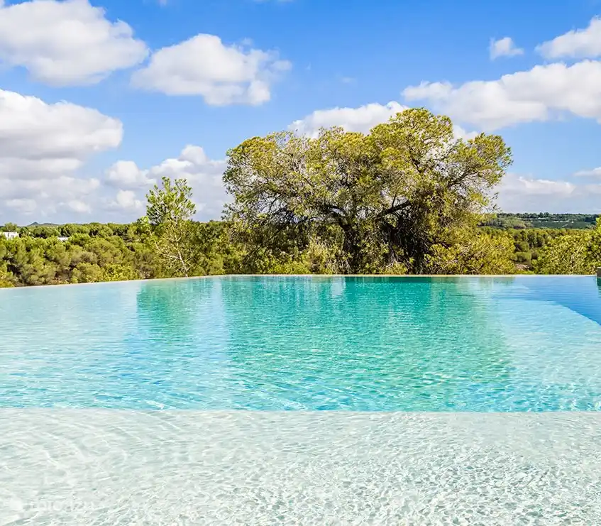 Ein luxuriöser Infinity-Pool mit Blick auf die Wälder von Las Colinas.