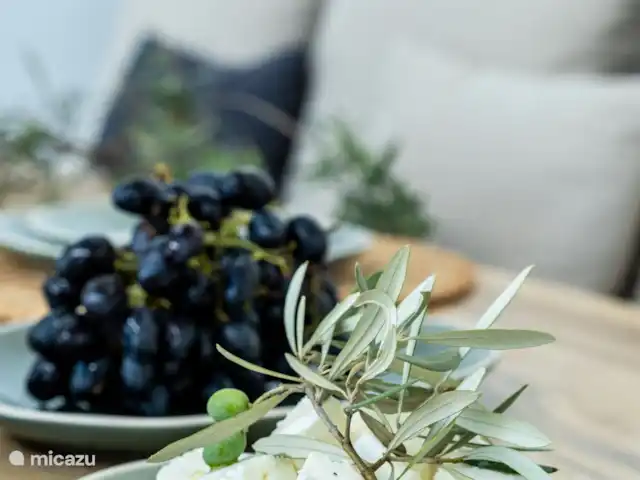 Villa Euforia en Grecia, Gracia Central, Pogonia - villa Detalles