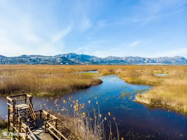 Location de Vacances Espagne, Costa Blanca, Monte Pego, villa - Casa Bellavista 515 Réserve naturelle de La Marjal avec l'urbanisation Monte Pego avec notre villa à gauche