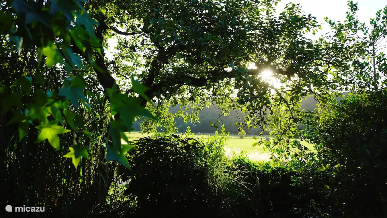 Umgebung aus dem Garten