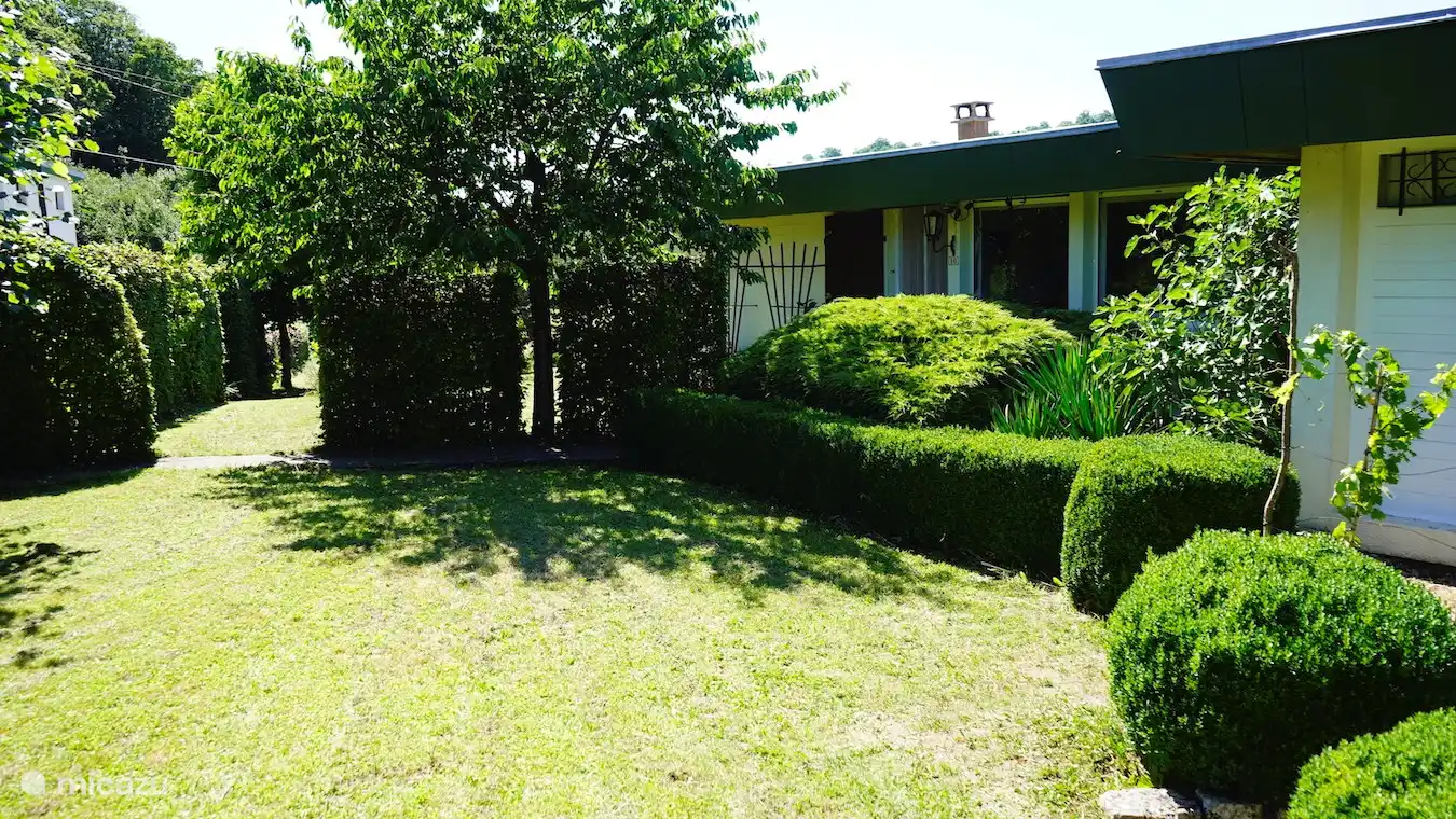 Eingang mit Kirschbaum vor der Tür. Rechts, neben dem Küchenfenster, ein Feigenbaum. Ungespritzt und frei pflückebar. Iss so viel du willst. Auch aus Äpfeln, Birnen, Brombeeren, Weintrauben.