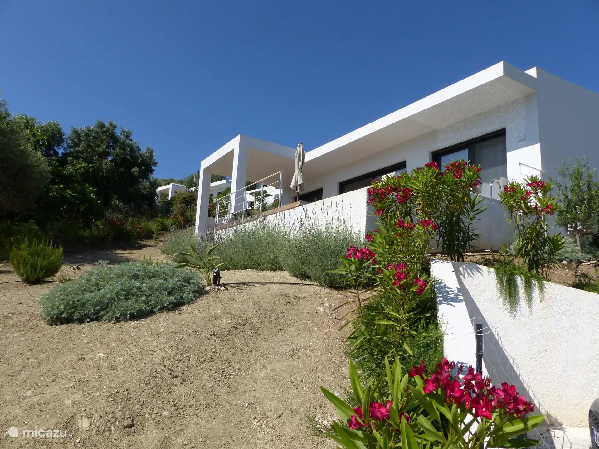 Oleanderdetails der Villa 