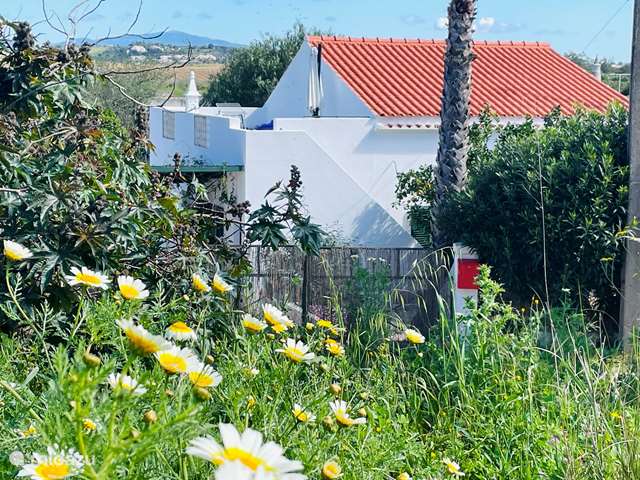 Vakantiehuis Portugal, Algarve, Odiaxere – vakantiehuis Casa da Azenha