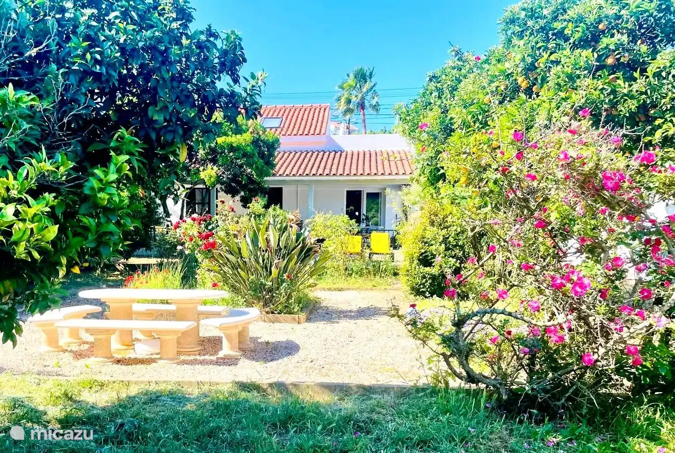 vakantiehuis huren in Budens, Algarve, Portugal - Casa da Azenha