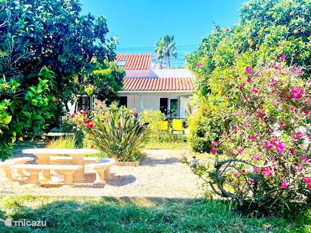 Ferienwohnung Portugal, Algarve, Odiaxere - ferienhaus Casa da Azenha