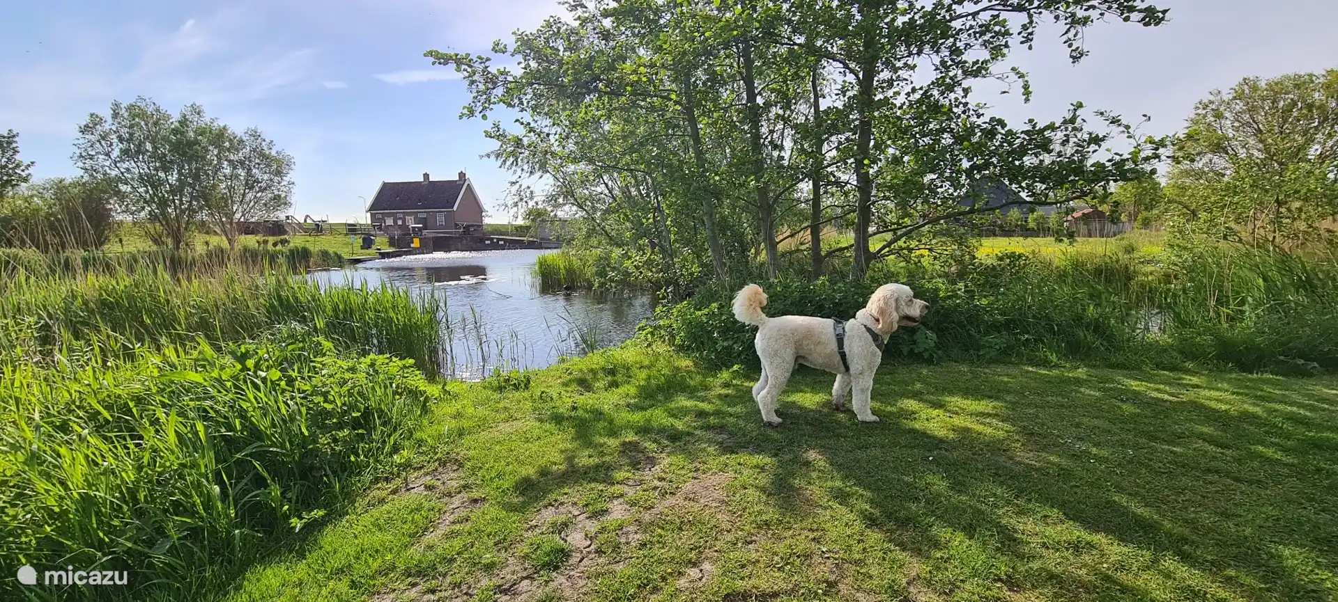 Het huis ligt aan een dijkje rondom het vakantiepark, een heerlijke wandeling met de hond. 