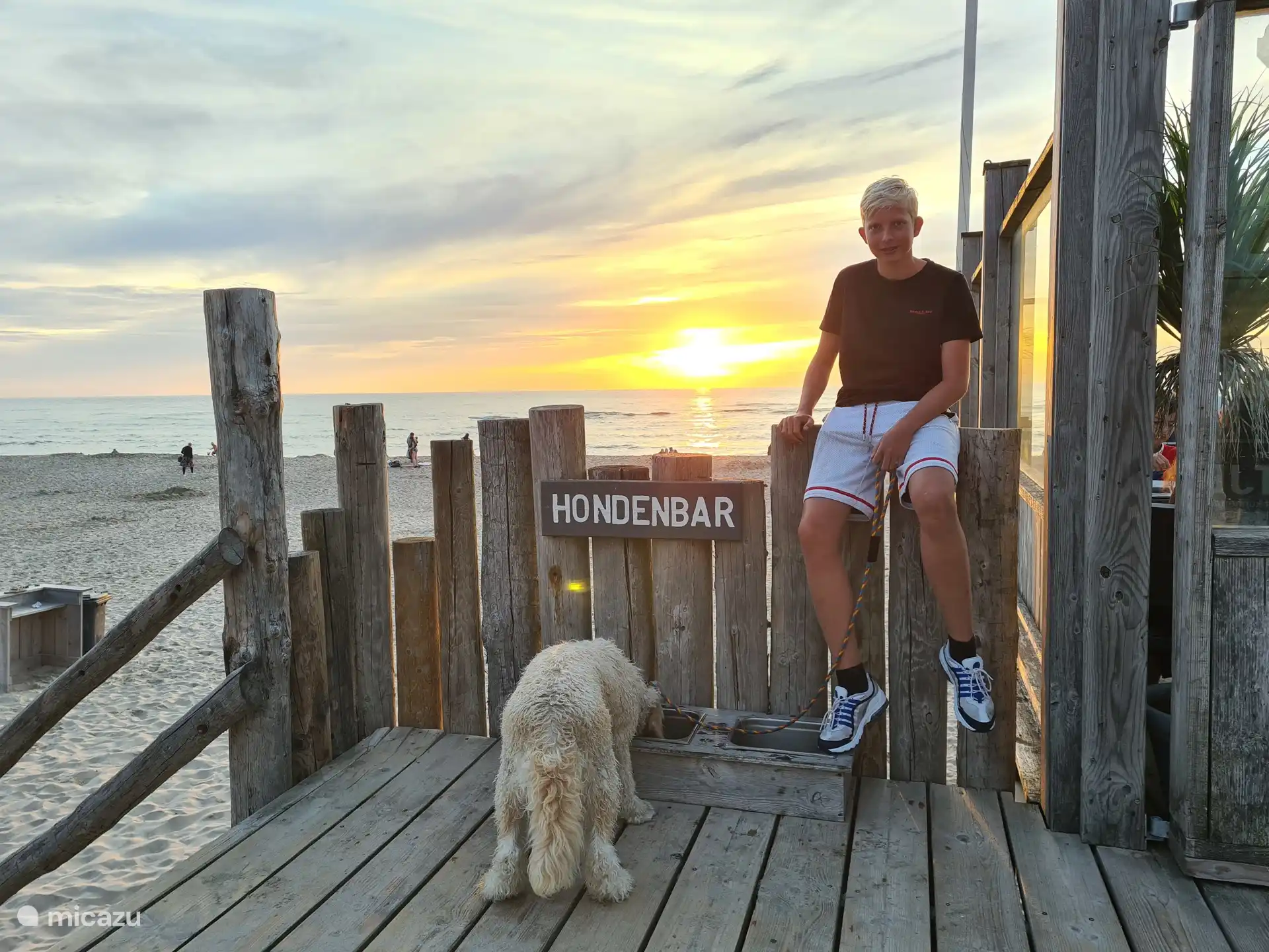 Honden mogen loslopen van 1 oktober tot 31 maart. tussen 1 april en 1 oktober moeten ze tussen 9.00 en 19.00 aangelijnd zijn op het strand.