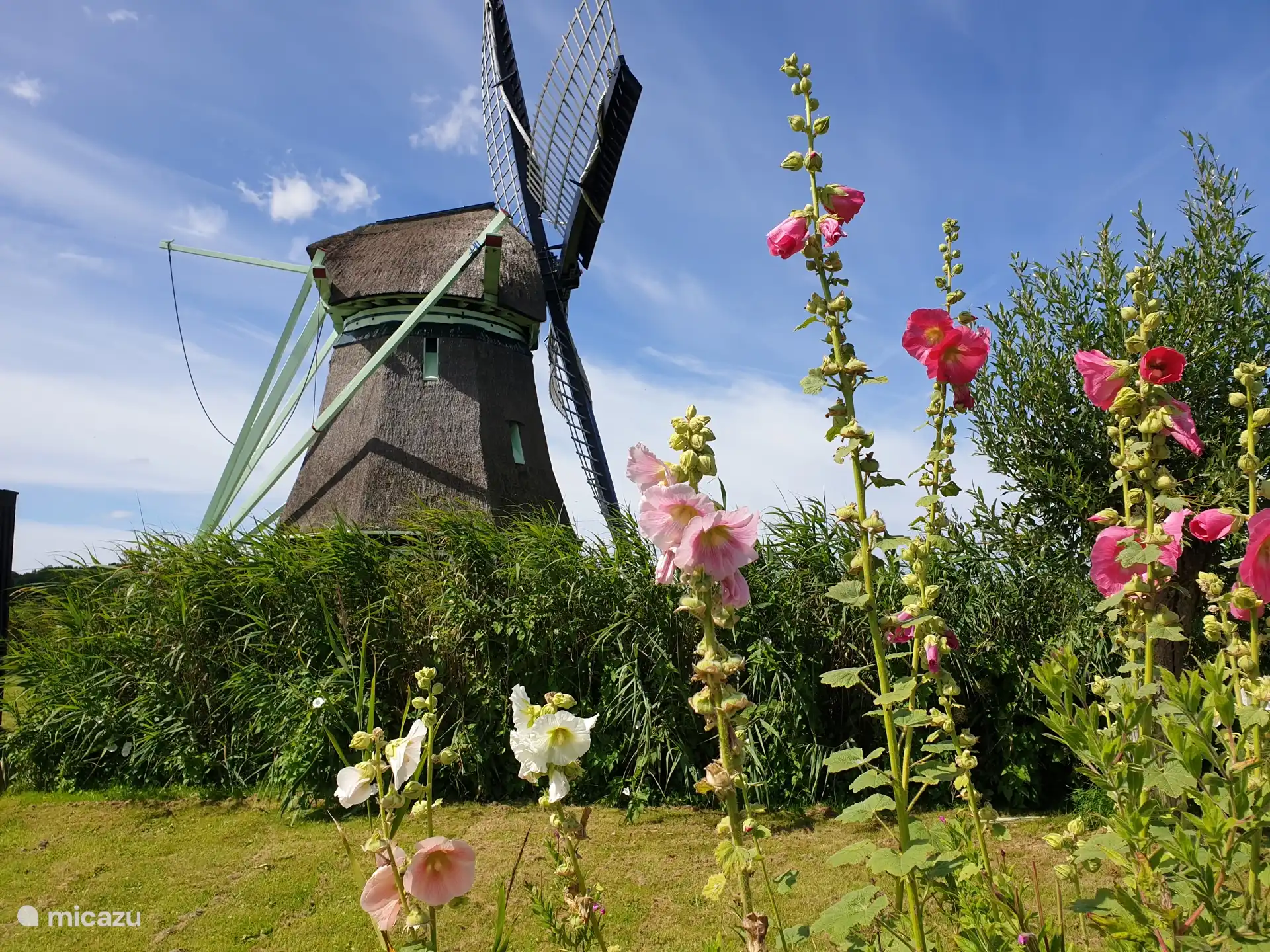 Veel molens in de omgeving, als de wieken draaien is de molenaar er, hij vertelt graag over wat de geschiedenis is van de molen in ons gebeid.