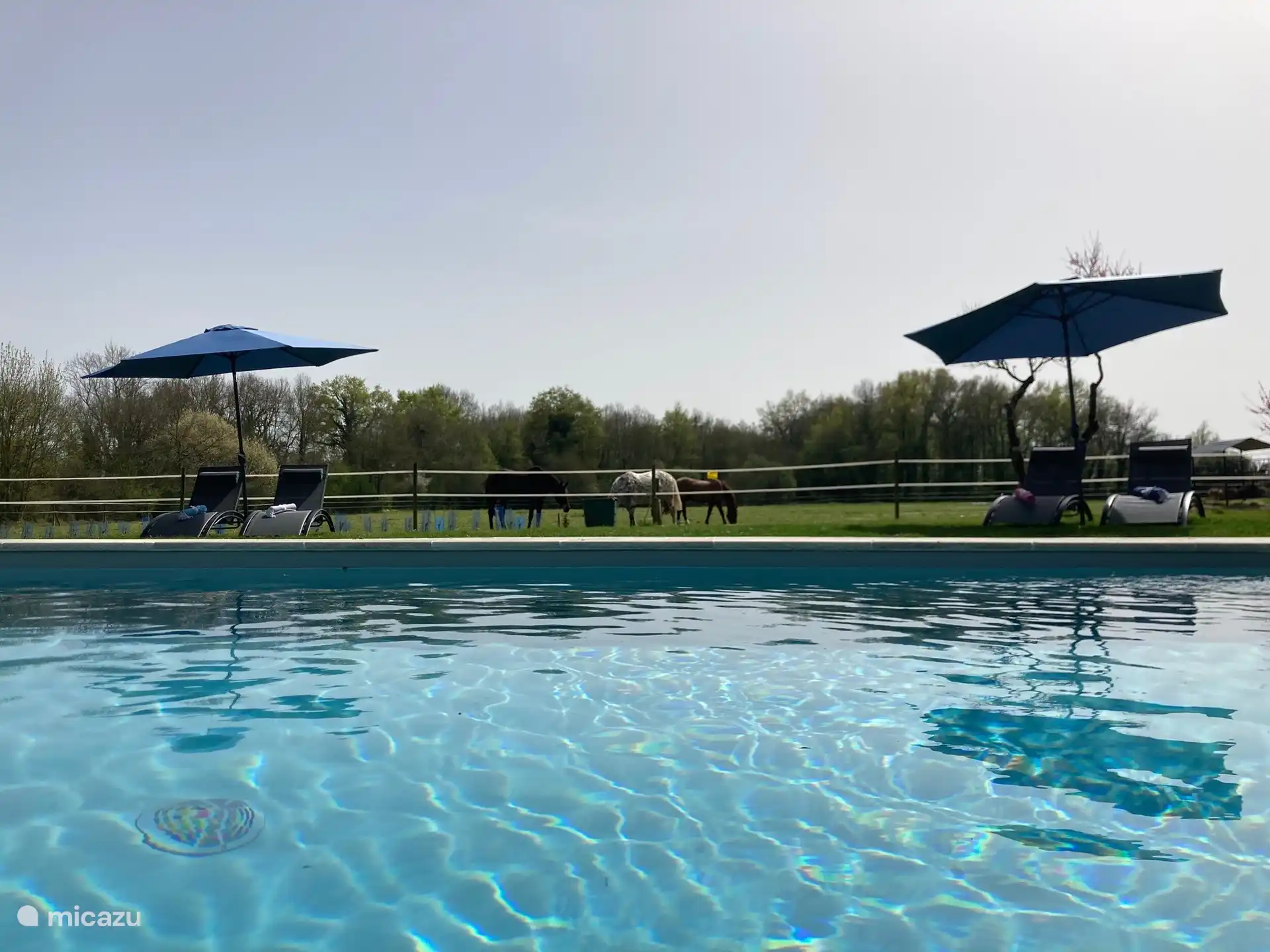 Beheiztes Schwimmbad von 9 x 4 m