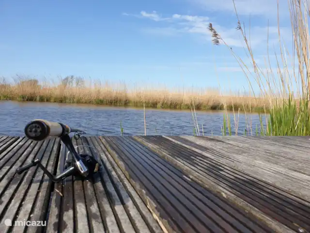 `t Bullekroffie Bonte Koe 1 huren in Nederland, Noord-Holland, Oudesluis - vakantiehuis Vissen vanaf uw eigen steiger. Vispas is bij het huis inbegrepen. 
Bootje met peddels.
`s Avonds een prachtige zonsondergang vanaf de steiger.