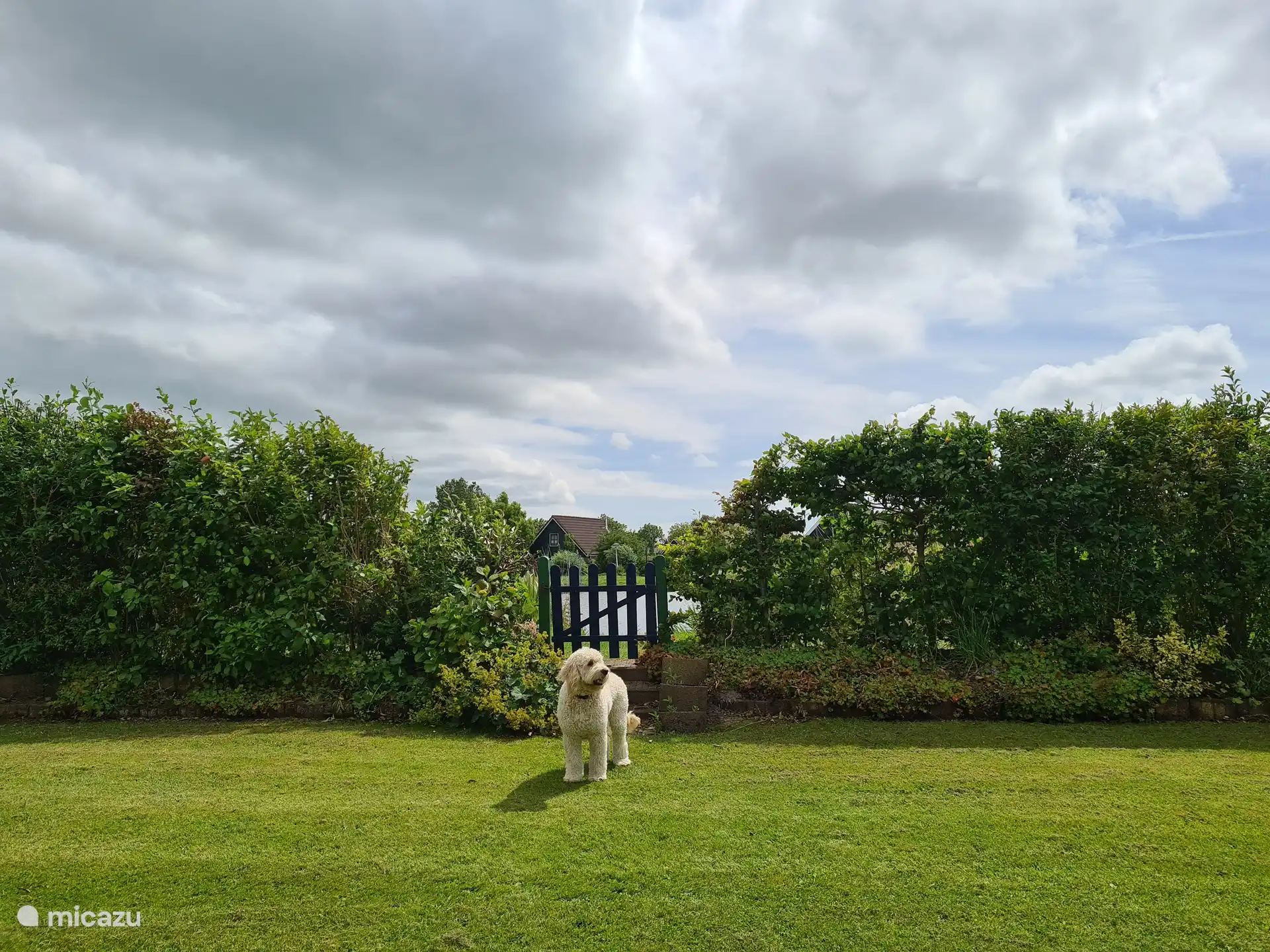 Auch der Hund ist erlaubt.