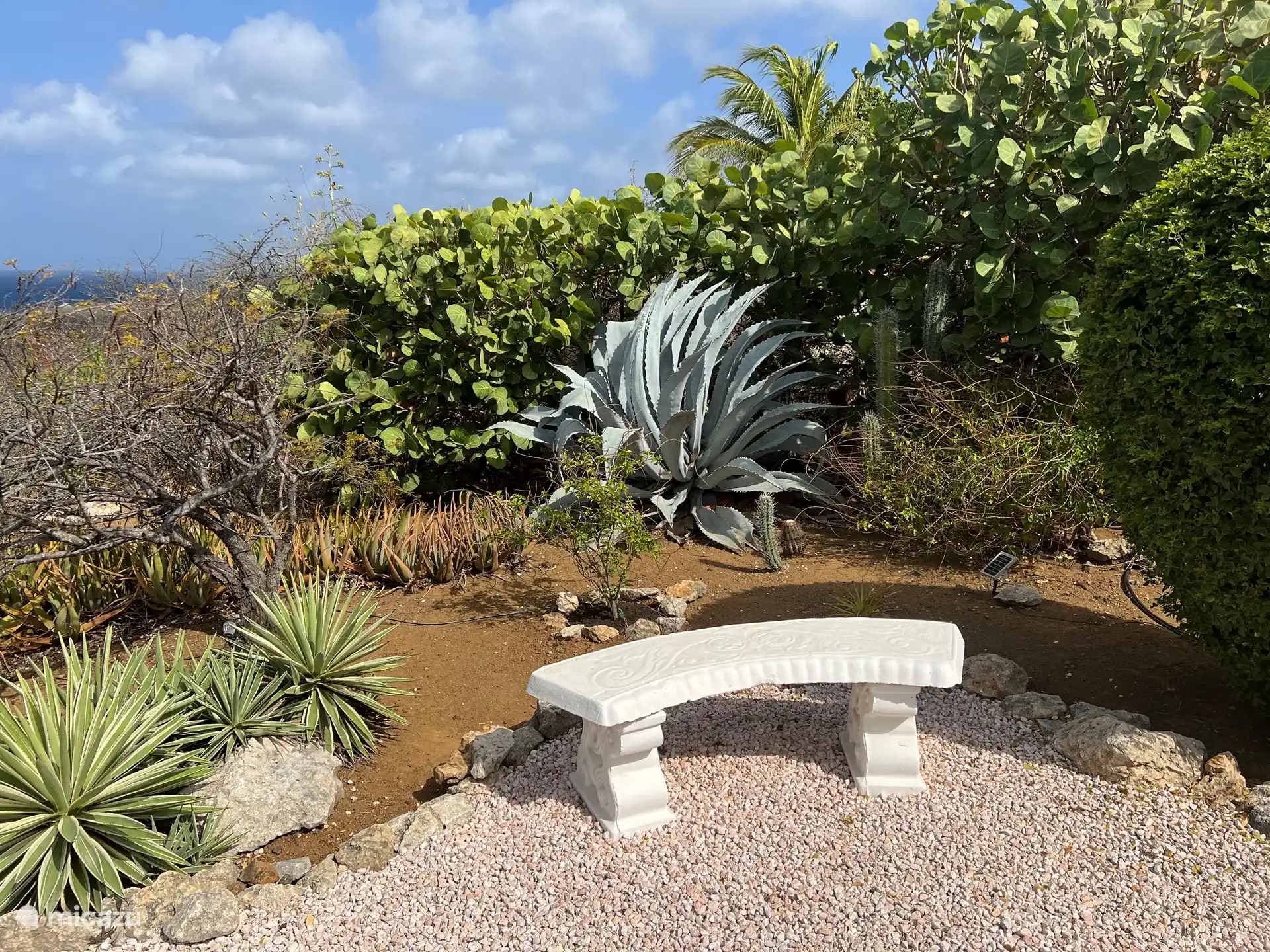 liebevoll angelegter Garten