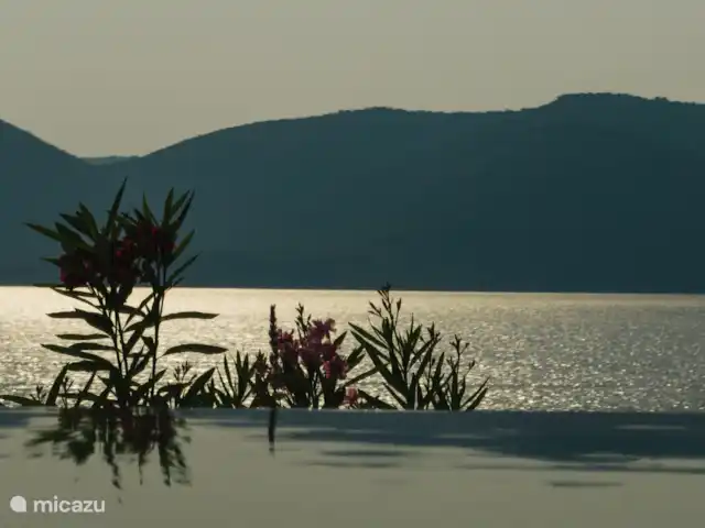 Villa Rika  | Grèce, Grèce centrale, Paleros - villa Détails des lauriers-roses