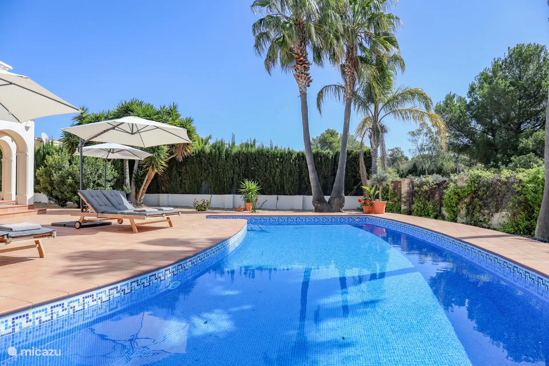 Schöner privater Pool zwischen Palmen.