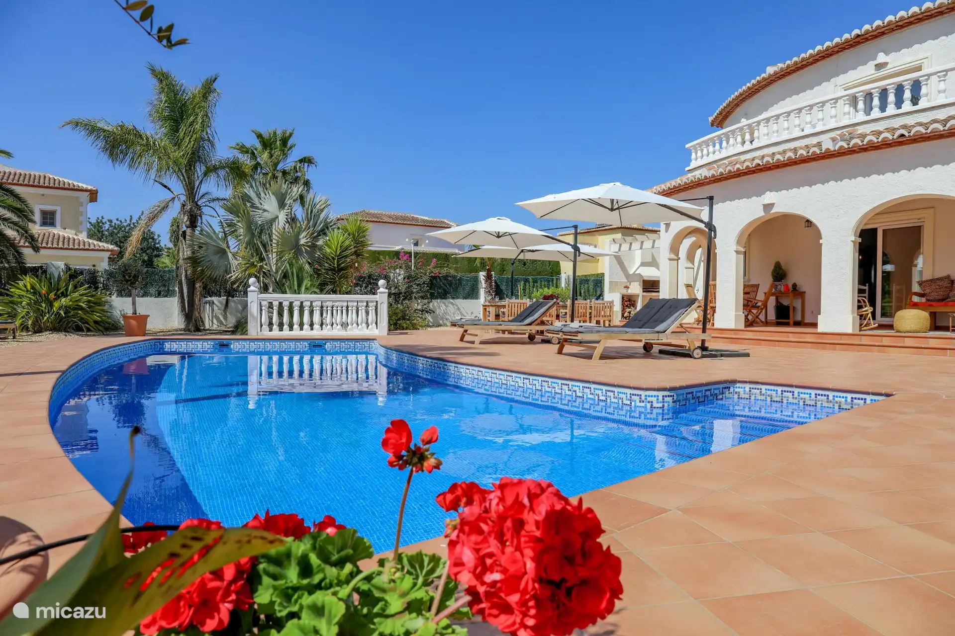 Wunderschöne Bäume und Pflanzen im Garten.