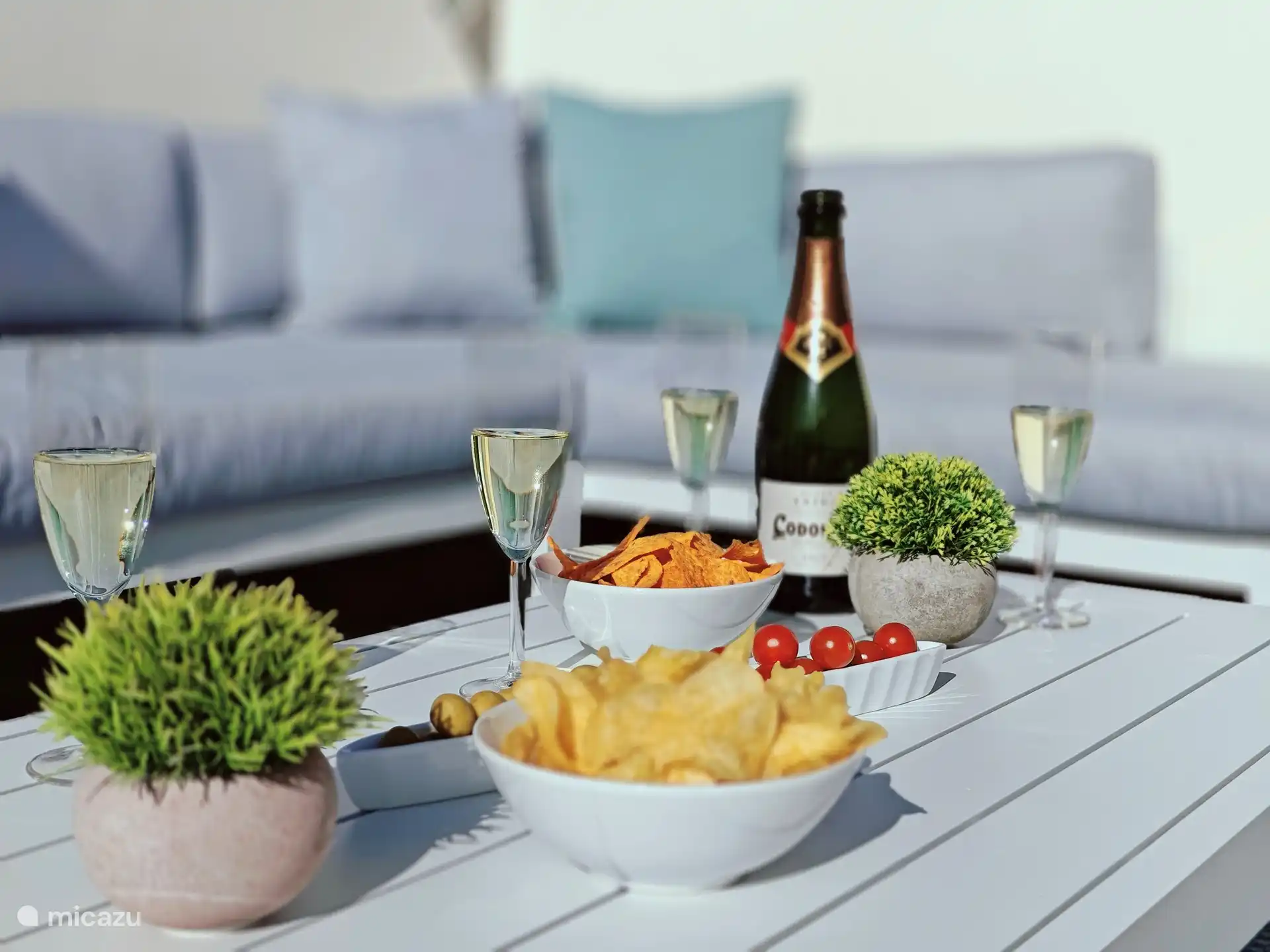 Un cadre paradisiaque vous attend sur le toit terrasse de la Casa Miramar avec un salon et des transats, parfaits pour se détendre. La vue imprenable sur le lac salé de La Mata vous invite à des moments de rêve et de plaisir ensoleillés.