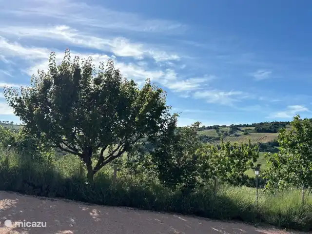 vakantiehuis huren in Italië, Marche, Tolentino – La Serenissima Zicht op de vallei in het westen.