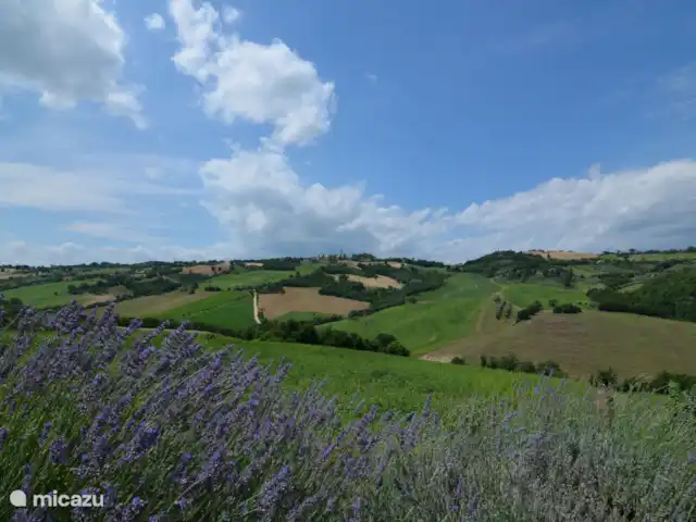 vakantiehuis huren in Italië, Marche, Tolentino – La Serenissima Zicht op de vallei