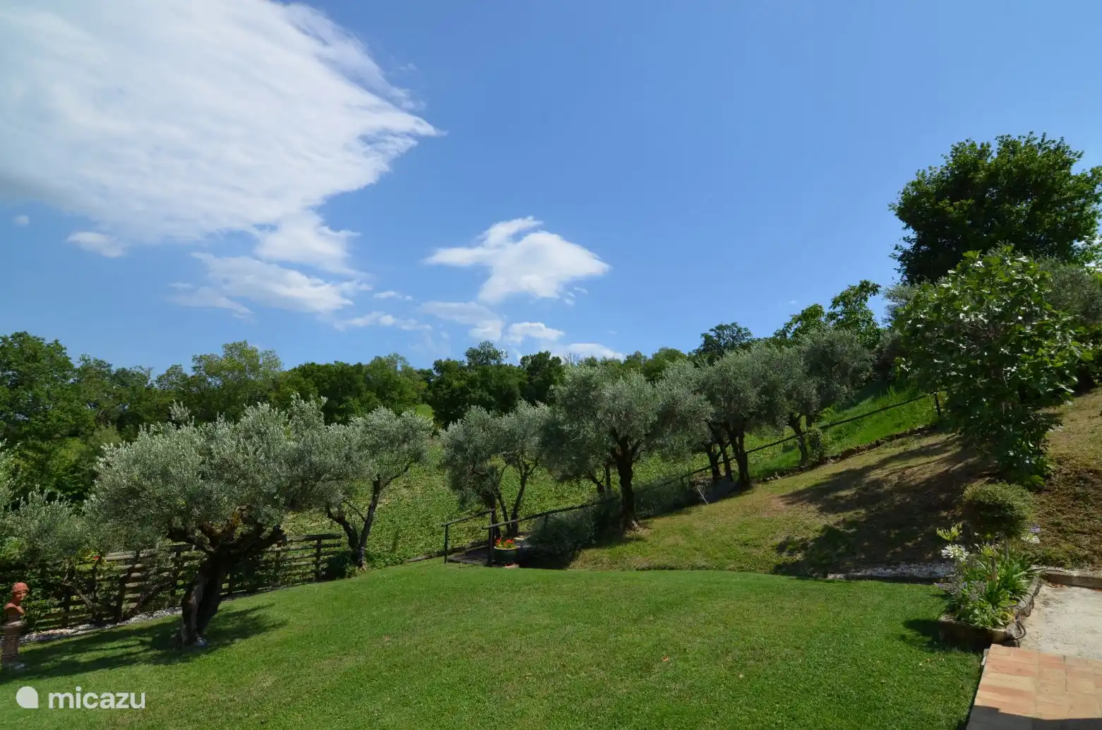 Blick auf unsere Olivenbäume