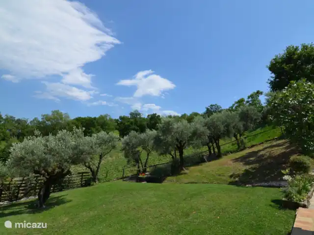 vakantiehuis huren in Italië, Marche, Tolentino – La Serenissima Zicht op onze olijfbomen