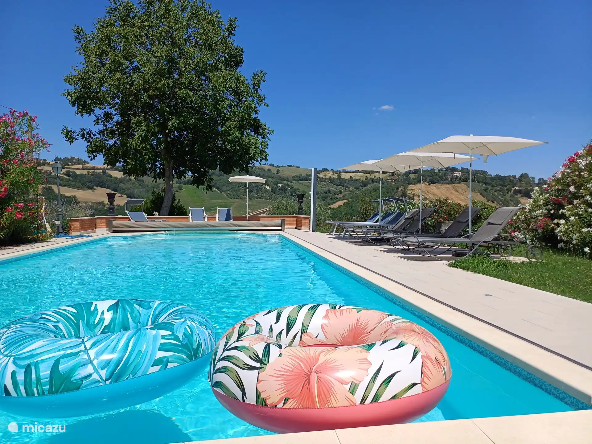 Schwimmbad mit Liegestühlen und Sonnenschirmen