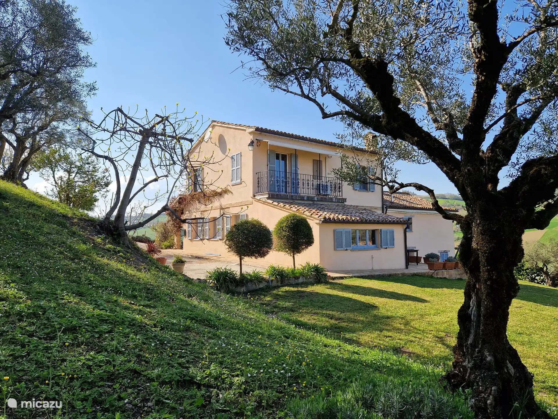 Blick aus dem Garten