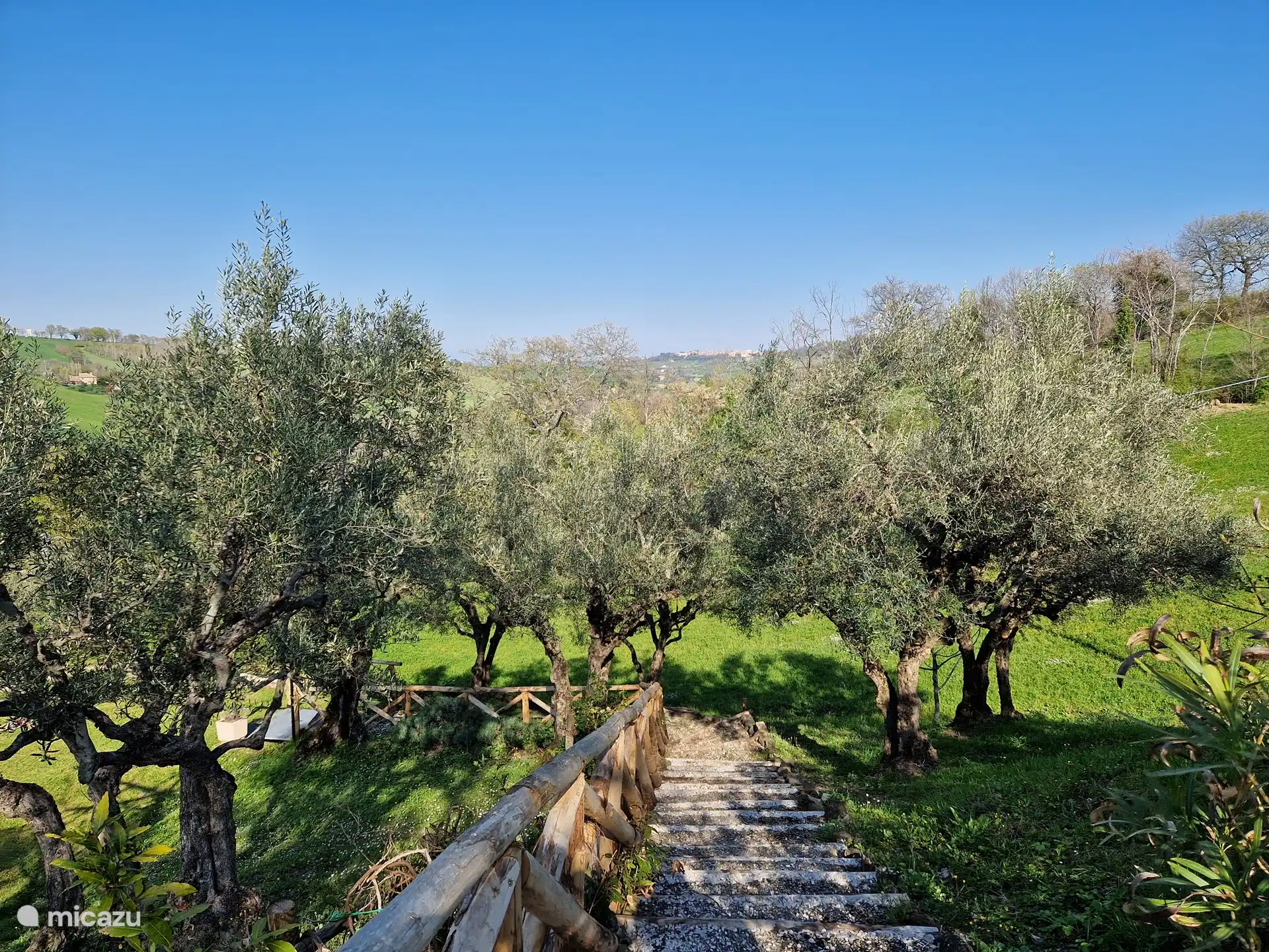 Gartenweg zum Schwimmbad