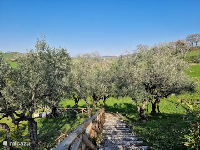 vakantiehuis huren in Italië, Marche, Tolentino – La Serenissima Tuinpad naar het zwembad
