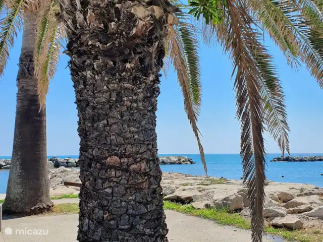 vakantiehuis huren in Italië, Marche, Tolentino – La Serenissima Strand van Pedaso
