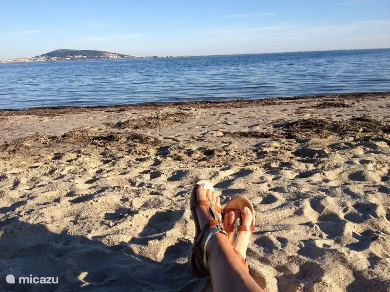 Es gibt mehrere Strände und Strände. Am Etang de Thau oder am Mittelmeer. 