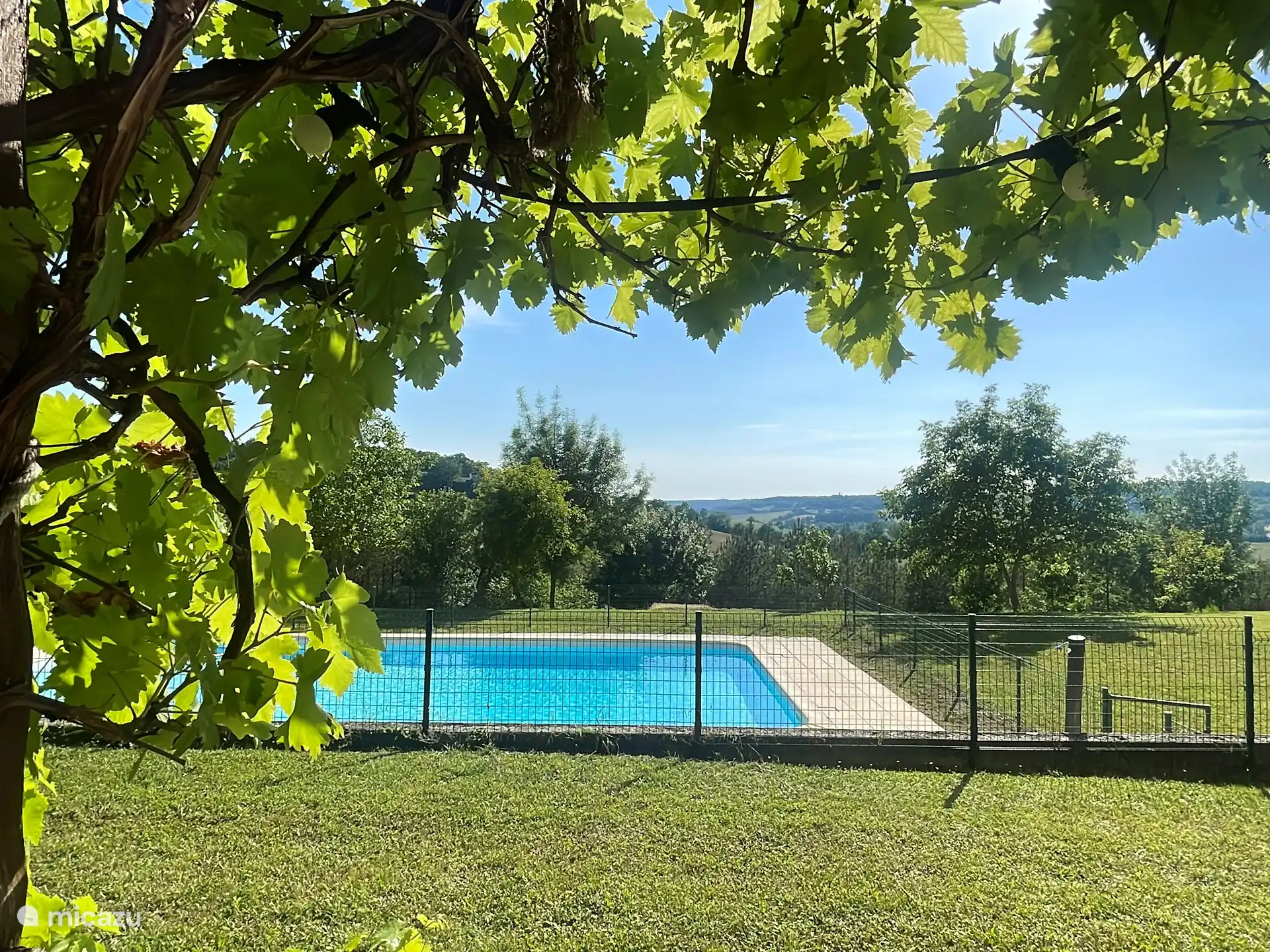 Blick auf das Schwimmbad aus der Sommerküche 
