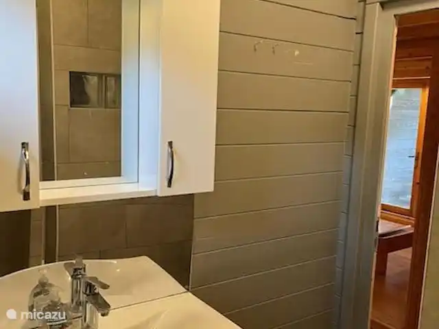 Luxe en ruim chalet met airco huren in Nederland, Drenthe, Matsloot - chalet badkamer