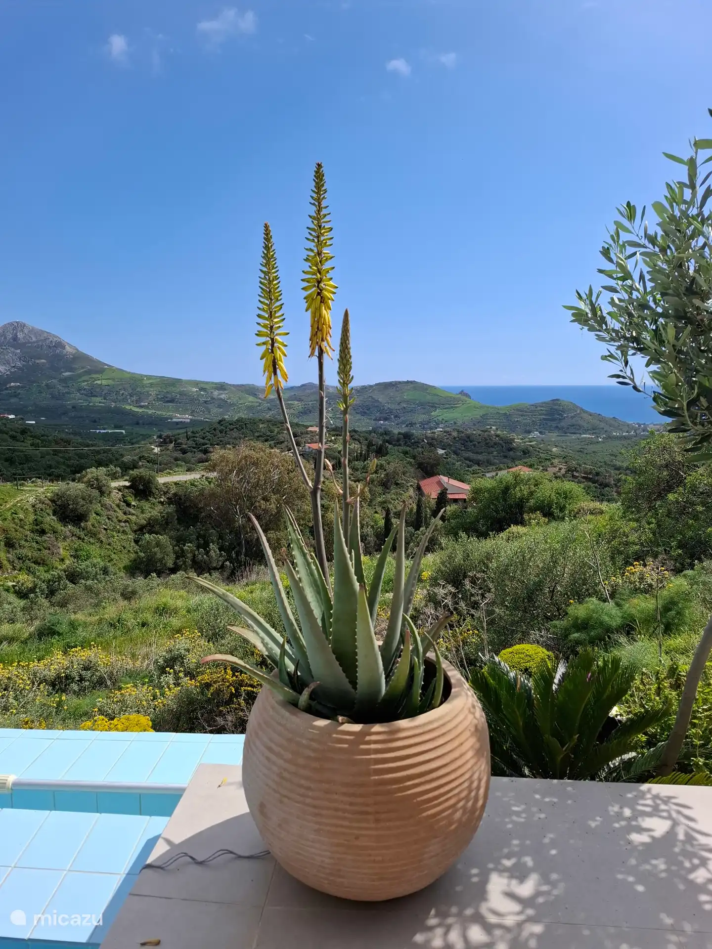 Die schöne Aussicht