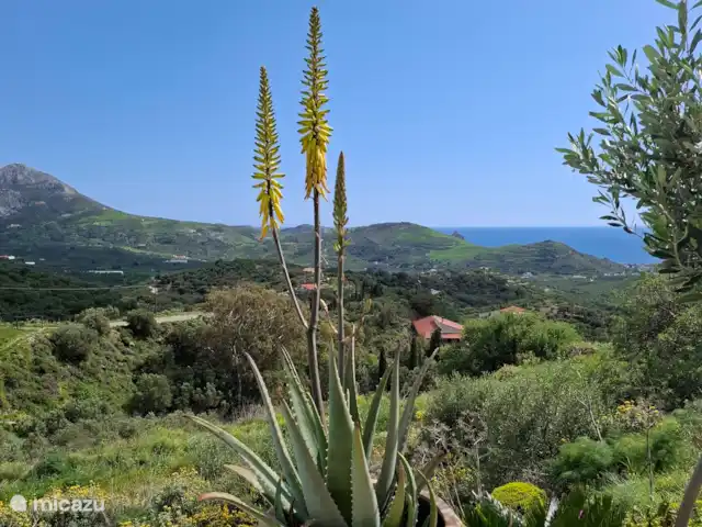 Villa Kari huren in Griekenland, Kreta, Mariou - villa Het prachtige uitzicht
