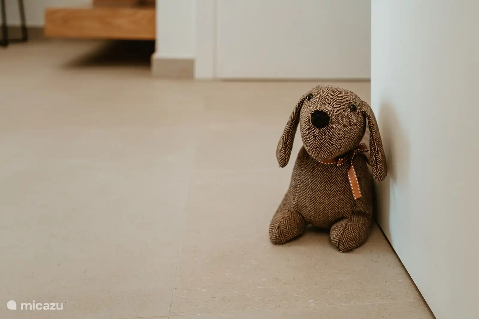 Ein schöner Türstopper