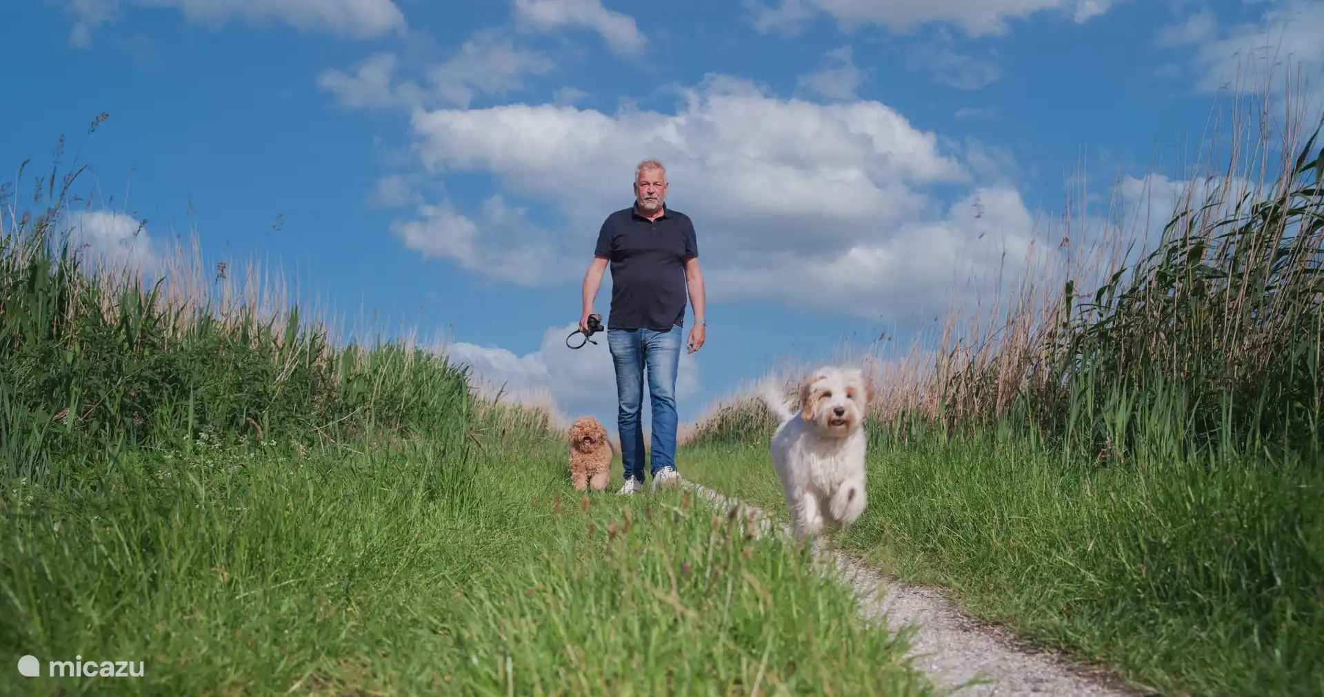 Mit den Hunden spazieren gehen