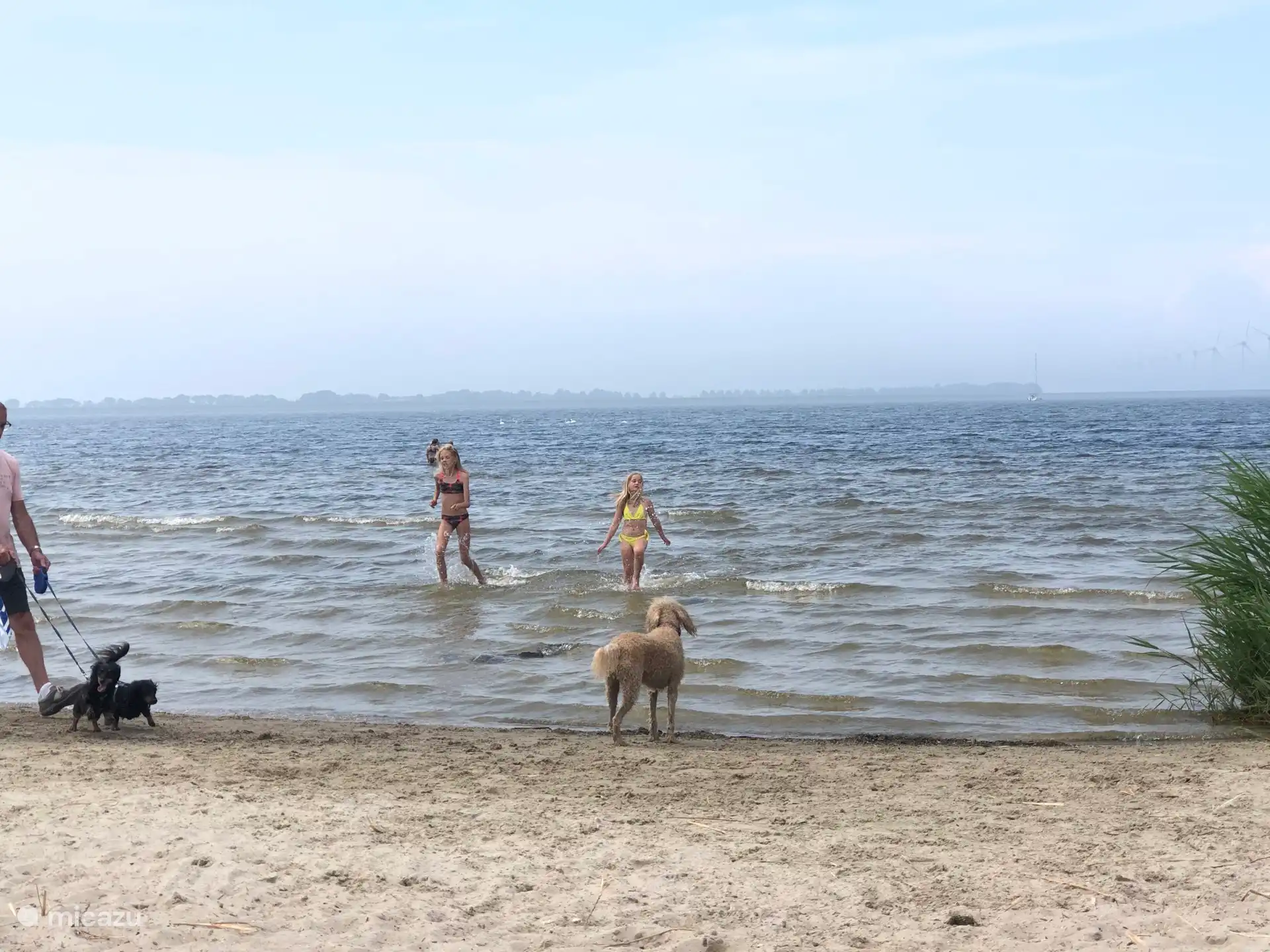 Speziell für die Hunde gibt es einen Hundestrand, der das ganze Jahr über geöffnet ist.