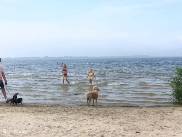 Huske Pompbled huren in Nederland, Friesland, Lemmer - geschakelde woning speciaal voor de honden een hondenstrand, hele jaar geopend.