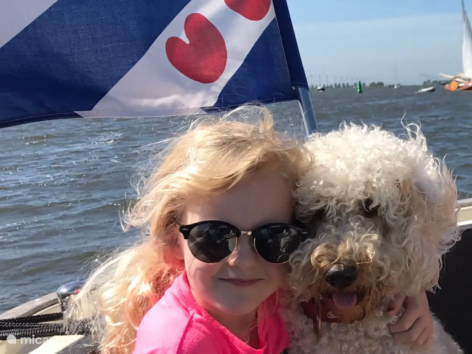 Ihr Hund kann mit auf das Boot gehen