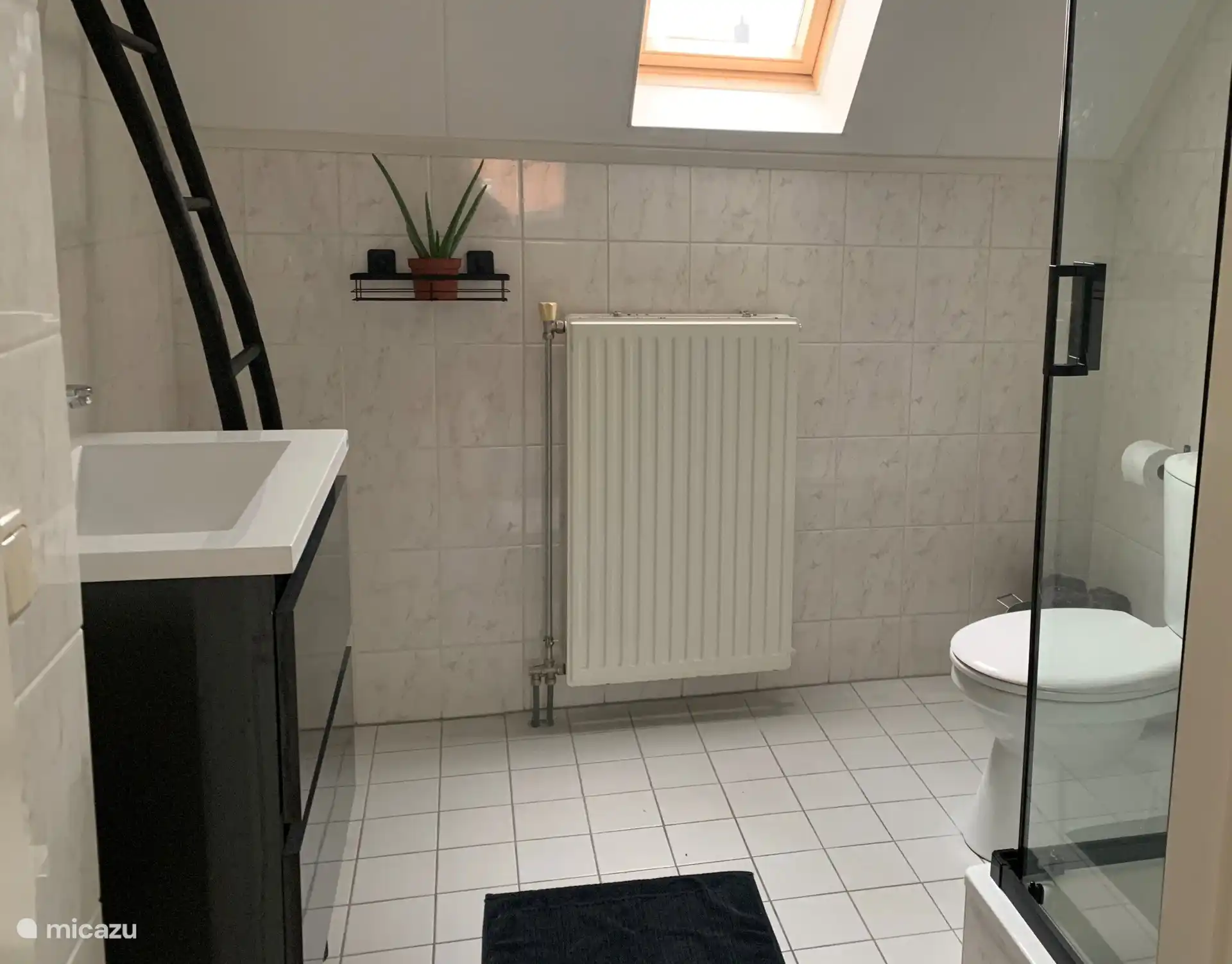 Badezimmer mit Dusche und WC