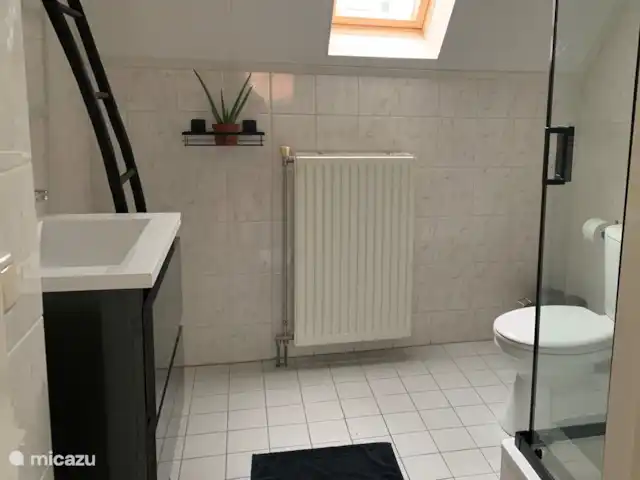 Huske Pompbled huren in Nederland, Friesland, Lemmer - geschakelde woning badkamer met douche en toilet